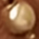 金色