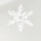 Transparent Snowflake Print