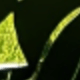 貓咪