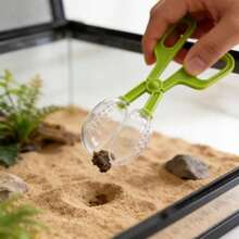 Multi-Color Reptile Feeding & Cleaning Tongs, Ergonomic Handle Design, Versatile Feeding And Enclosure Cleaning Tool For Lizards, Bearded Dragons, Snakes, Geckos And Other Reptile Pets, Reptile Care Essential - Feces Clamp/feeder - View 12