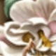 彩色
