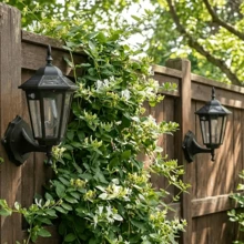 XCE|Solar Powered Outdoor Wall Lamp, Waterproof IP44 Courtyard Lamp For Outdoor Decoration, Battery Capacity 1800mAh,With 3 Modes Of Human Body Sensor For Dusk To Dawn Road Area Lighting - Suitable For Garage, Street, Courtyard, Wedding Lighting - 戶外壁燈 - 查看 2