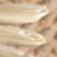 Nhiều màu