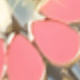 Pink Gold