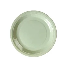 50/25/10个鼠尾草绿纸盘，一次性纸盘，7英寸和9英寸可选，适用于盛放蛋糕、沙拉、披萨、法棍、寿司、水果，也可作为生日派对、野餐、露营、家庭聚会、周年纪念、毕业典礼、生日装饰、婚礼、户外花园用餐、下午茶、父亲节、圣诞节等场合的餐具装饰（餐盘、托盘、厨房用具） - 彩色 - 查看 6