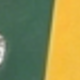 Vàng lục