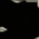 A5
