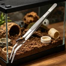 不鏽鋼長柄鑷子 1/2/4件組，8英吋直型+彎型防滑鋸齒食物夾，廚房食物夾取、烘焙、燒烤、烘烤，爬蟲餵食蛇蜥蜴蜘蛛魚缸，可洗碗機清洗 - C-銀色 - 查看 9