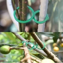 100件套花园植物支撑架：棚架夹、藤蔓种植器、麻绳、扎带、番茄藤蔓固定器、多功能植物攀爬架 - 500pcs - 查看 5