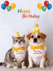 寵物生日帽與刺繡標語圍巾套組－貓狗生日派對配件 - 彩色 - 查看 5