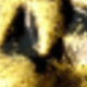 Brass Color