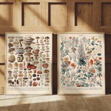 2pcs/Set Vintage Wall Art Poster, Retro Botanical Art Prints, Mushroom, Herbaceous Plant Identification Reference Illustrations, Biophilic Botanical Illustrations, Plant Education Wall Decoration, Bedroom, Study, Classroom Wall Decoration, Framed Or Unframed, Room Decor, Home Decor, Ideal Housewarming Gift, College Dorm Apartment Decor, Gifts For Wall Decoration In Hotel, Home, Living Room, Bedroom, Bathroom And Office - A - View 4