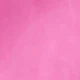 Rosa Fucsia