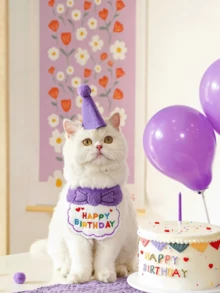 寵物生日帽與刺繡標語圍巾套組－貓狗生日派對配件 - 彩色 - 查看 2