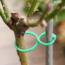 100件套花园植物支撑架：棚架夹、藤蔓种植器、麻绳、扎带、番茄藤蔓固定器、多功能植物攀爬架 - 500pcs - 查看 4