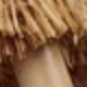 彩色