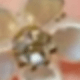 Nhiều màu