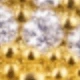 Dorado