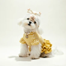 1 pieza Vestido de perro con volantes a rayas, estilo princesa para perros pequeños - Amarillo - Ver 3