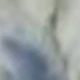Blue and White Rabbit Tail Grass