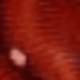 Đỏ