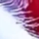 Red and White Rabbit Tail Grass
