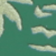 彩色