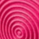 Rosa Fucsia