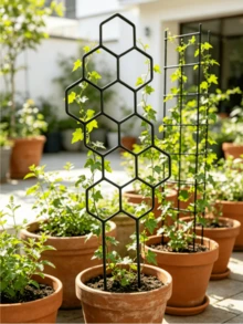 3件套蜂窝状植物攀爬架，户外庭院花园园艺植物支撑架，自粘式植物架，适用于藤蔓植物 - 多款式 - 查看 6