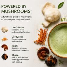 2-Pack RYNE Mushroom Matcha Powder, USDA Organic, Natural Focus & Energy, Pre-Workout & Work Support - 60份 - 查看 3