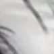 BB