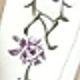 白色領子繡花袍