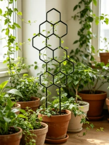3件套蜂窝状植物攀爬架，户外庭院花园园艺植物支撑架，自粘式植物架，适用于藤蔓植物 - 多款式 - 查看 5