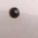 彩色