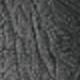 màu đen