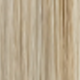 Blonde Highlight
