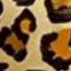 Leopard Print