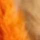 Orange Brown