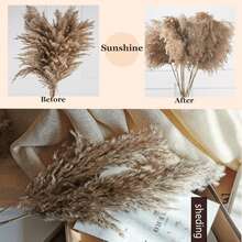 10/20/30/60pcs Pampas Grass Bouquet - Realistic Fluffy White & Brown Rattan Decor, Suitable For Home, Vase, Room, Wedding, Party - Fit For Christmas, Halloween, Easter, Thanksgiving - No Electricity Needed, Enjoy The Good Life - Original Color Luchai - View 7