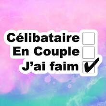 Black And White French Relationship Status, For Foodies, Eating Is More Important Than Dating, Heartbreaking And Funny, Self-Adhesive Bumper Sticker, Suitable For Cars, Windows, Laptops, Trucks, Water Bottles - Multi-Functional Durable Design, Car Sticker - Vinyl - View 9