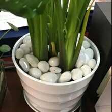 100g-1000g 黑白拋光河卵石，1-2英吋裝飾石，適用於室內植物、水族箱、花瓶填充、盆栽植物、魚缸、花園景觀、園藝裝飾、情人節派對裝飾（每顆形狀與尺寸不一） - 1套 - 查看 11