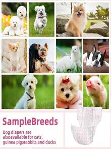 宠物狗尿布，幼犬尿布，适用于玩具贵宾犬，用于宠物生理期，保护宠物健康，送给快乐小狗的最佳生日礼物，宠物用品，宠物尿布 - 彩色 - 查看 11