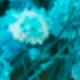 藍色