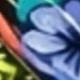 蝴蝶