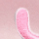 Hồng