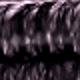 màu đen