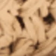 Màu Khaki