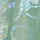 màu xanh lá