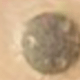 19 Round Stickers