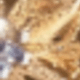 Colores de fantasía